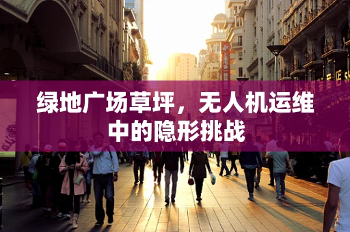 绿地广场草坪，无人机运维中的隐形挑战