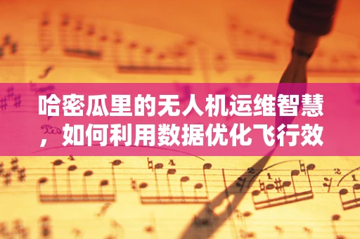 哈密瓜里的无人机运维智慧，如何利用数据优化飞行效率？