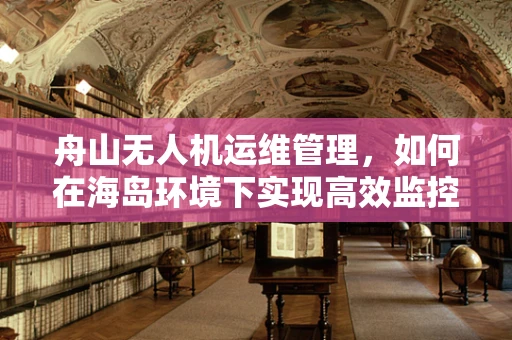 舟山无人机运维管理，如何在海岛环境下实现高效监控与维护？
