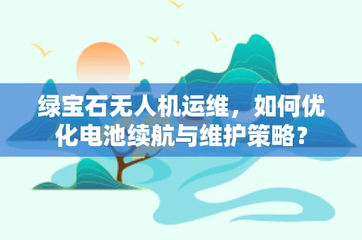 绿宝石无人机运维，如何优化电池续航与维护策略？