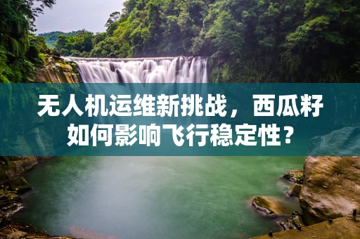 无人机运维新挑战，西瓜籽如何影响飞行稳定性？