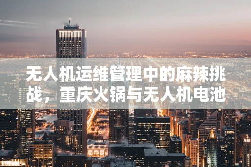 无人机运维管理中的麻辣挑战，重庆火锅与无人机电池的热辣关系