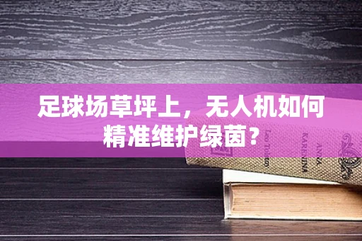 足球场草坪上，无人机如何精准维护绿茵？