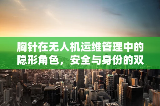 胸针在无人机运维管理中的隐形角色，安全与身份的双重保障
