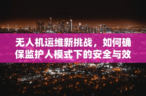 无人机运维新挑战，如何确保监护人模式下的安全与效率？