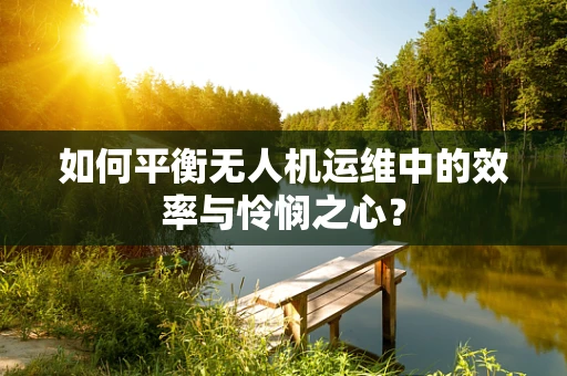 如何平衡无人机运维中的效率与怜悯之心？