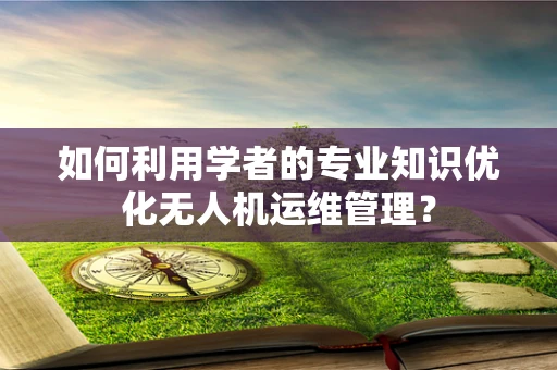 如何利用学者的专业知识优化无人机运维管理？