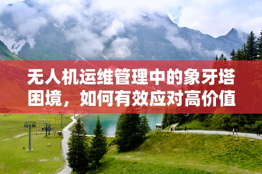 无人机运维管理中的象牙塔困境，如何有效应对高价值目标的误识别风险？
