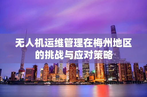 无人机运维管理在梅州地区的挑战与应对策略
