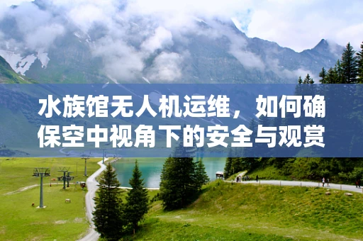 水族馆无人机运维，如何确保空中视角下的安全与观赏性？