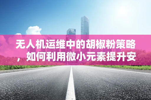 无人机运维中的胡椒粉策略，如何利用微小元素提升安全？