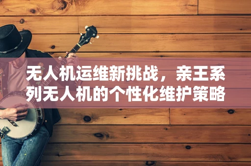 无人机运维新挑战，亲王系列无人机的个性化维护策略