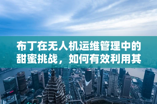 布丁在无人机运维管理中的甜蜜挑战，如何有效利用其进行状态监测？