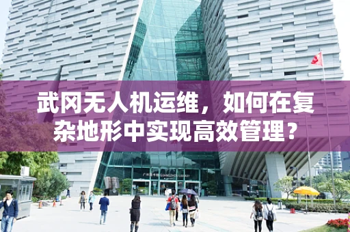 武冈无人机运维，如何在复杂地形中实现高效管理？