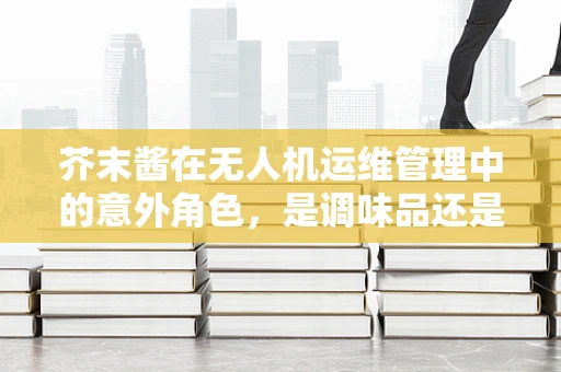 芥末酱在无人机运维管理中的意外角色，是调味品还是技术难题？