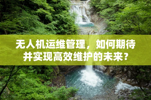 无人机运维管理，如何期待并实现高效维护的未来？