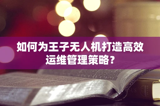 如何为王子无人机打造高效运维管理策略？