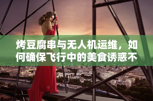 烤豆腐串与无人机运维，如何确保飞行中的美食诱惑不干扰任务？