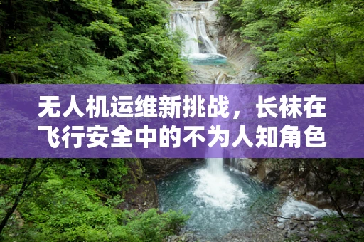 无人机运维新挑战，长袜在飞行安全中的不为人知角色？
