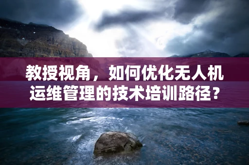 教授视角，如何优化无人机运维管理的技术培训路径？