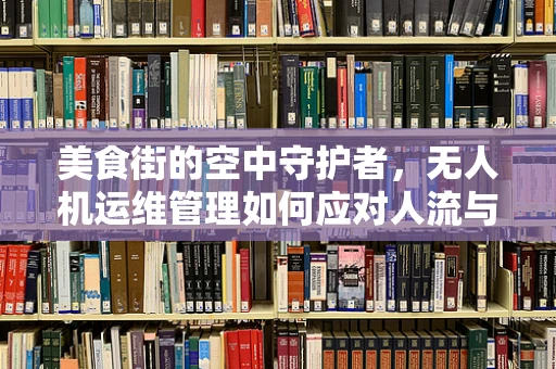 美食街的空中守护者，无人机运维管理如何应对人流与噪音挑战？
