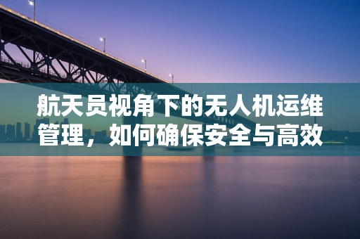 航天员视角下的无人机运维管理，如何确保安全与高效？