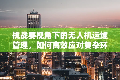 挑战赛视角下的无人机运维管理，如何高效应对复杂环境？
