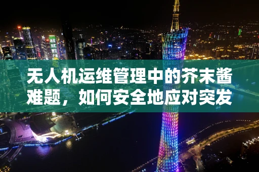无人机运维管理中的芥末酱难题，如何安全地应对突发情况？
