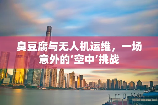 臭豆腐与无人机运维，一场意外的‘空中’挑战