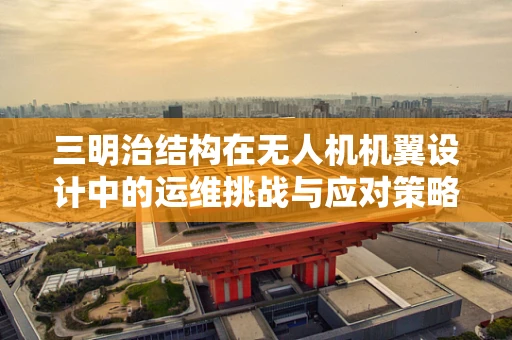 三明治结构在无人机机翼设计中的运维挑战与应对策略