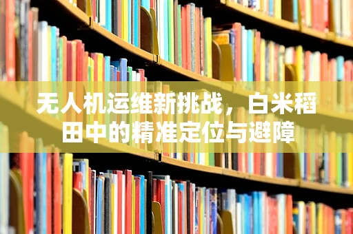 无人机运维新挑战，白米稻田中的精准定位与避障
