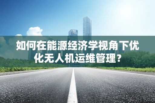 如何在能源经济学视角下优化无人机运维管理？