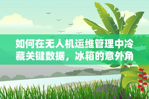 如何在无人机运维管理中冷藏关键数据，冰箱的意外角色？