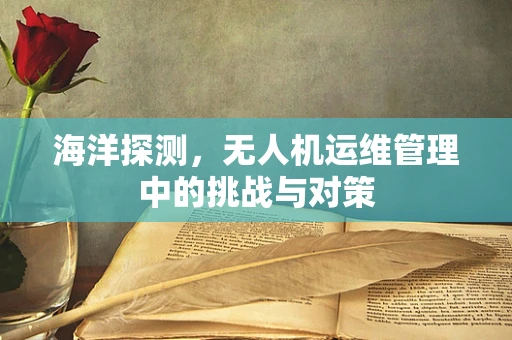 海洋探测，无人机运维管理中的挑战与对策