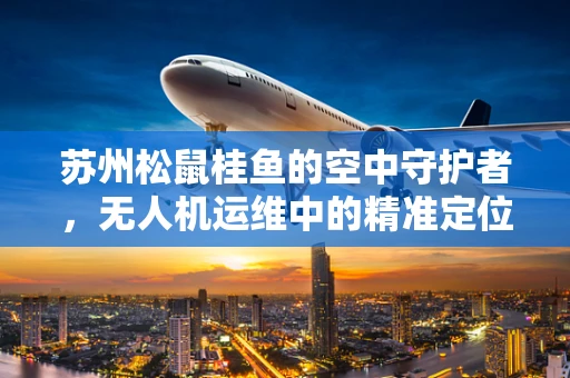 苏州松鼠桂鱼的空中守护者，无人机运维中的精准定位挑战