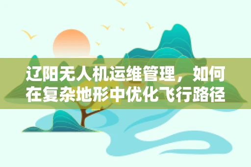 辽阳无人机运维管理，如何在复杂地形中优化飞行路径？