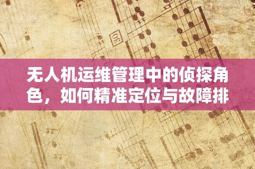 无人机运维管理中的侦探角色，如何精准定位与故障排查？