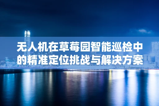 无人机在草莓园智能巡检中的精准定位挑战与解决方案