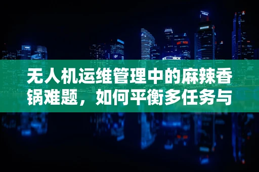 无人机运维管理中的麻辣香锅难题，如何平衡多任务与口味？