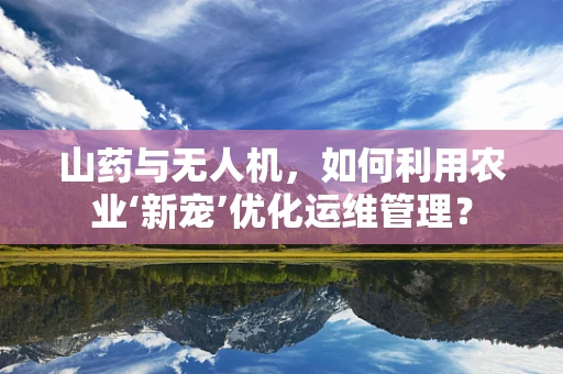 山药与无人机，如何利用农业‘新宠’优化运维管理？