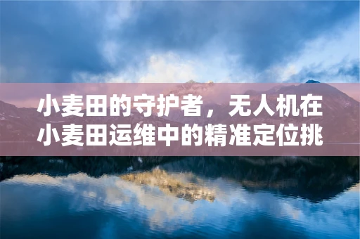 小麦田的守护者，无人机在小麦田运维中的精准定位挑战