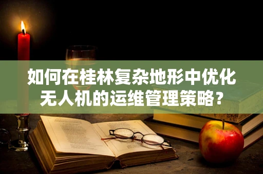 如何在桂林复杂地形中优化无人机的运维管理策略？