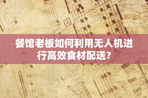餐馆老板如何利用无人机进行高效食材配送？