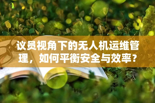 议员视角下的无人机运维管理，如何平衡安全与效率？