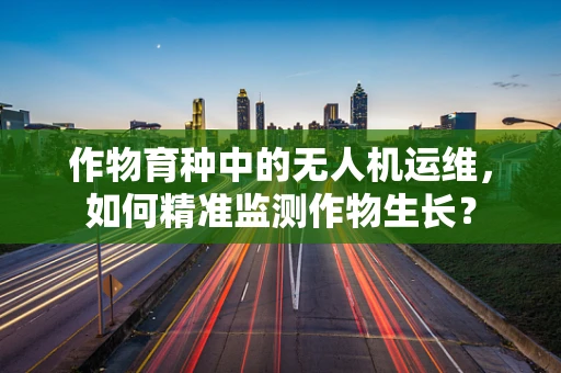 作物育种中的无人机运维，如何精准监测作物生长？