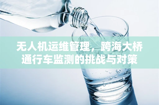 无人机运维管理，跨海大桥通行车监测的挑战与对策