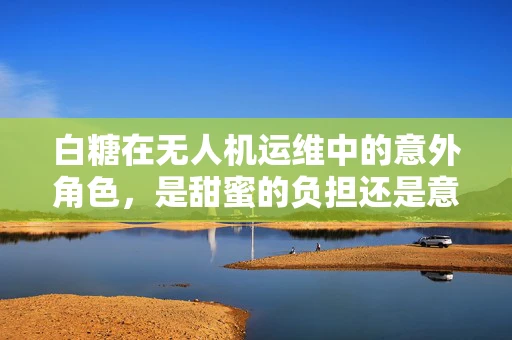 白糖在无人机运维中的意外角色，是甜蜜的负担还是意外的惊喜？