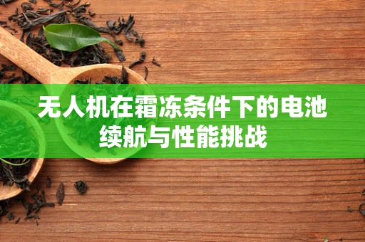 无人机在霜冻条件下的电池续航与性能挑战