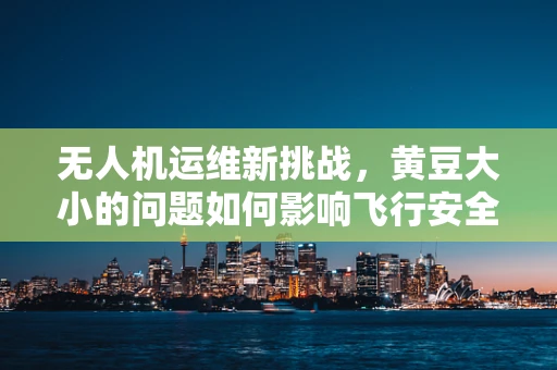 无人机运维新挑战，黄豆大小的问题如何影响飞行安全？