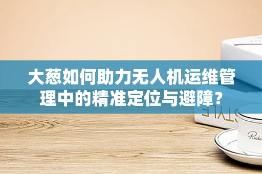 大葱如何助力无人机运维管理中的精准定位与避障？